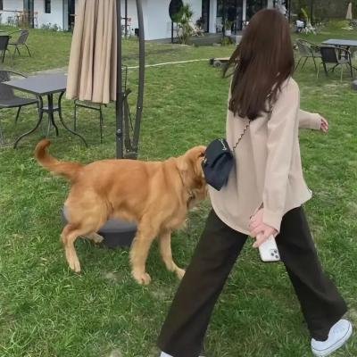 中央车站